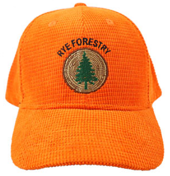 https://www.sjjgifts.com/news/eco-friendly-rpet-caps/